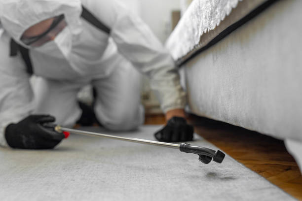 Professional Bed Bug Control technician working in Oakland, MD