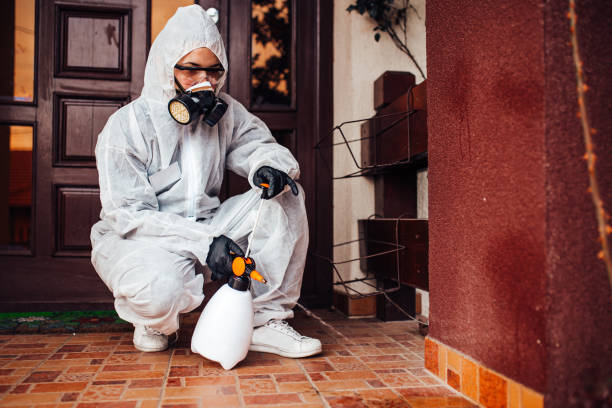Reliable Bed Bug Control contractor in Oakland, MD by Nex Pest Control