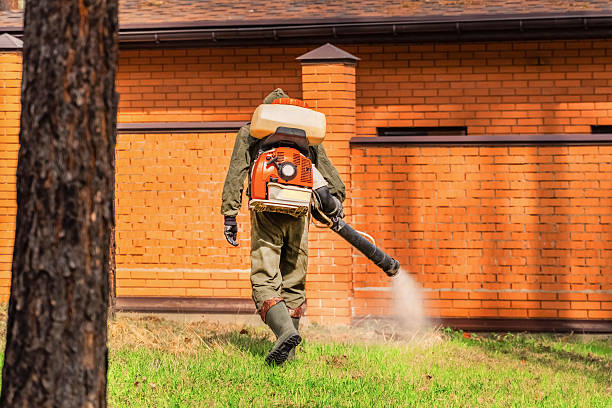 Top rated local Bed Bug Control specialists in Oakland, MD